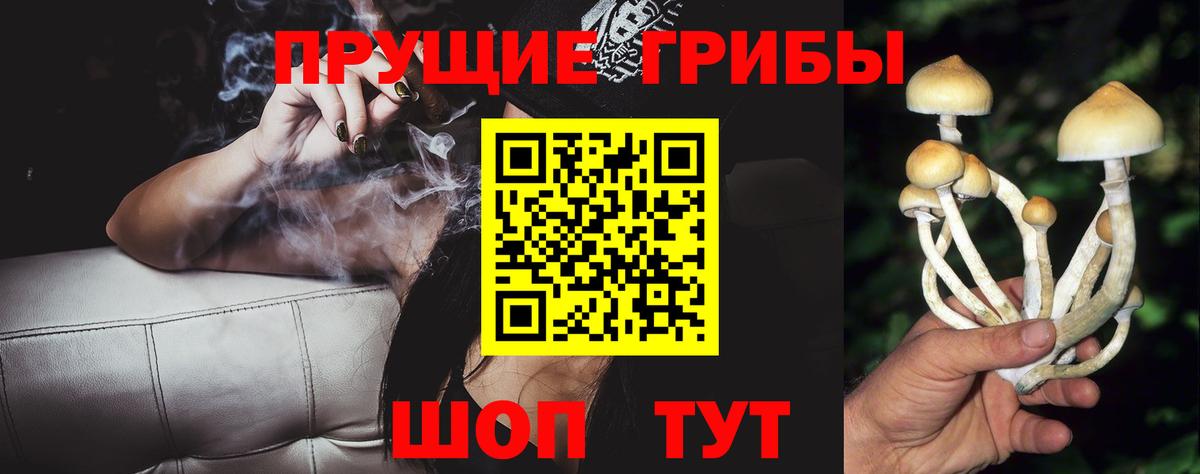 Тихорецк  Галлюциногенные грибы Magic Shrooms  Вход с VPN 