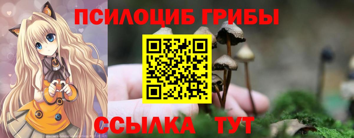 Галлюциногенные грибы мухоморы Тихорецк
